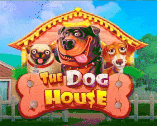 play The Dog House in wonder luck casino